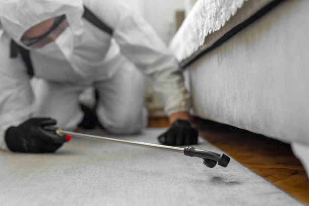 Professional Bed Bug Control technician working in Leakesville, MS