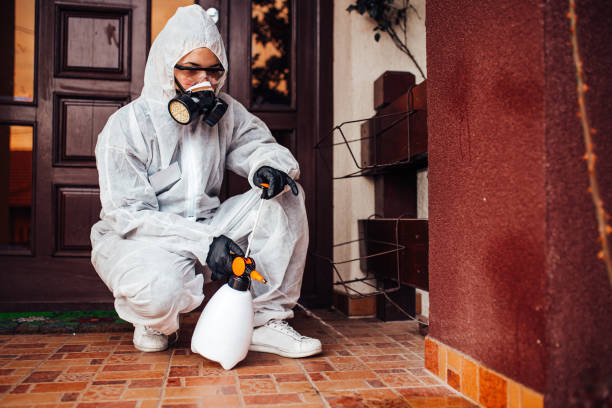 Reliable Bed Bug Control contractor in Leakesville, MS by Nex Pest Control